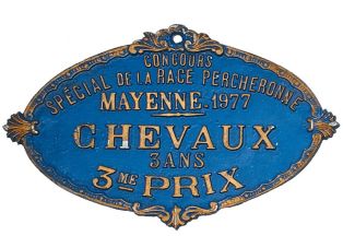 3e prix du concours spécial de la race percheronne Chevaux de 3 ans ; © Nicolas Franchot