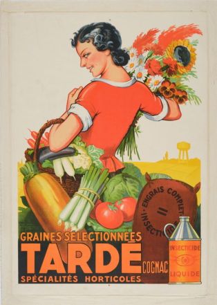 Graines sélectionnées Tardé spécialités horticoles ; © F. Lauginie – Le Compa – 2013