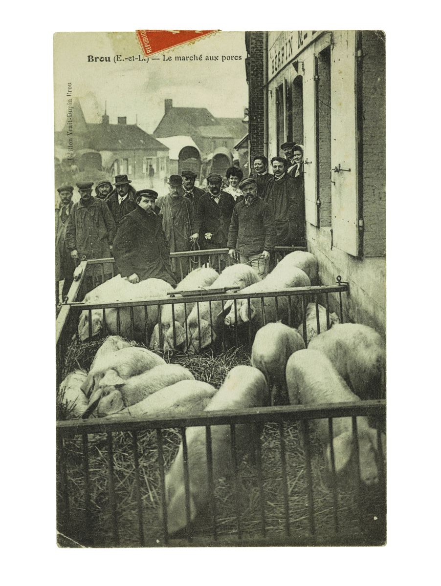 "Brou (E.-et-L.) - Le marché aux porcs"