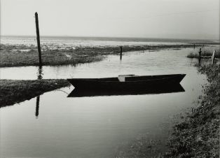 Le marais du Cotentin Manche, 2003 ; © J.-Y. Populu