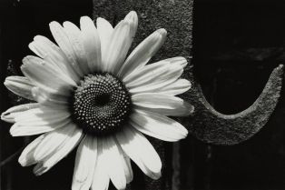 Le fer et la fleur, 1972 ; © J.-Y. Populu