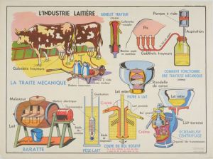 La porcherie / l’industrie laitière