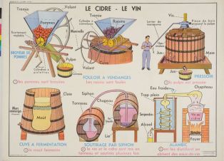 Le cidre - le vin / le moteur électrique