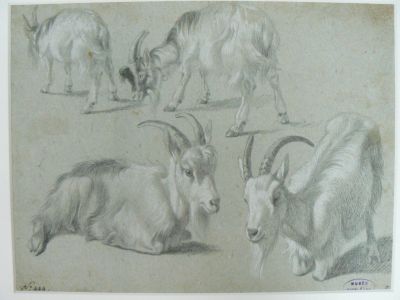 Étude de chèvres (1838)