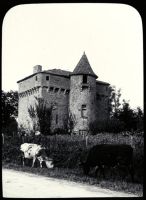 plaque de verre photographique ; Blasimon, Moulin de Labarthe XIV
