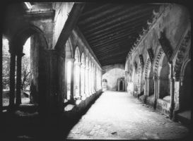 plaque de verre photographique ; Saint-Emilion, Collégiale, le cloître avec enfeu