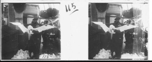 plaque de verre photographique ; Un pétrel géant blanc - (2 m d’envergure)