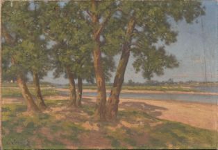 Paysage, arbres au bord d'un cours d'eau