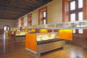 Les collections de Préhistoire présentées de façon thématique et chronologique dans la galerie Renaissance du château.