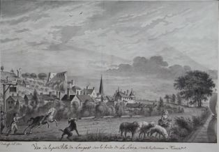 Vue de la petite ville de Langèst sur les bords de la Loire route de saumur a Tours. (titre inscrit)