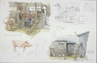 lot d'aquarelles ; cochons et porcherie (2000-8-1.17)