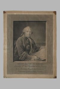 gravure ; Duhamel du Montceau (titre factice) (M 174)