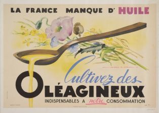 La France manque d'huile. Cultivez des oléagineux ; © F. Lauginie – Le Compa – 2013