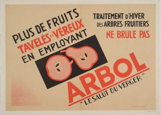 Plus de fruits tavelés ou véreux en employant Arbol "Le Salut du verger" ; © F. Lauginie – Le Compa – 2013