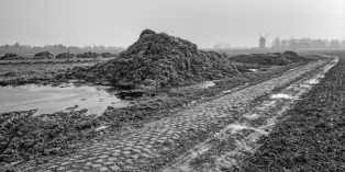 "Paris-Roubaix", Templeuve-Moulin-de-Vertain ; © Gilson Jean-Pierre ; © CRP/