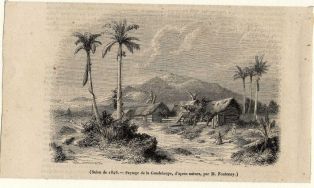 (Salon de 1846 Paysage de la Guadeloupe d'après nature par M. Fontenay)