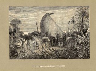 Le Tour du Monde, 1868. Voyage à la Nouvelle Calédonie (1863-67) case du chef Mango après un cyclone