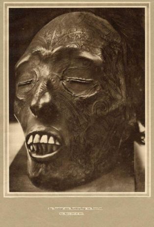 Die Woche ; 1928 ; Der Totenkopf eines Maorihäuptlings von Neuseeland