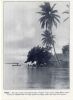 reproduction d'une photographie Tahiti- Une case en niaou...