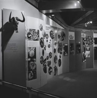 Expo. A la découverte de la vie ; © Titulaire(s) des droits : MC2 Grenoble