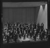 Orchestre symphonique de Budapest