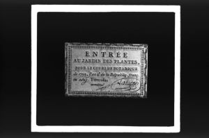 plaque de verre photographique ; Bordeaux, Carte d’entrée au Cours de botanique du (Pr.) Latapie ( ?)