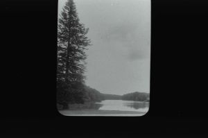 plaque de verre photographique ; Paimpont : forêt : vue sur les étangs