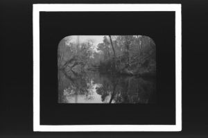 plaque de verre photographique ; Paysage, rivière