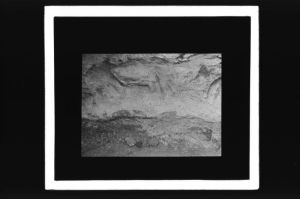 plaque de verre photographique ; Cap-Blanc, Laussel, Dordogne, Frise sculptée de chevaux