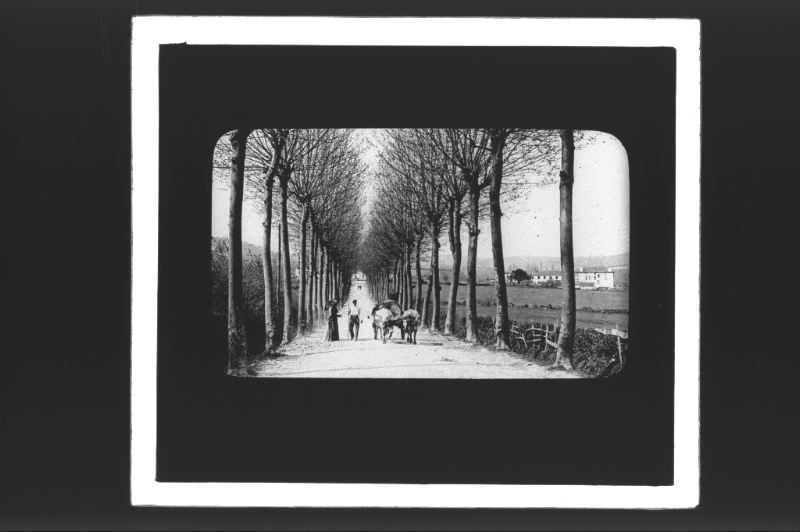 plaque de verre photographique ; Légende : 116 - Hasparren (B.-P.) Route de Cambo