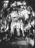 plaque de verre photographique ; Caverne de Font-de-Gaume : fond de la galerie latérale avec colonne (Capitan et Breuil,  la Cav. de F. de G., 1910, pl. XLIV)