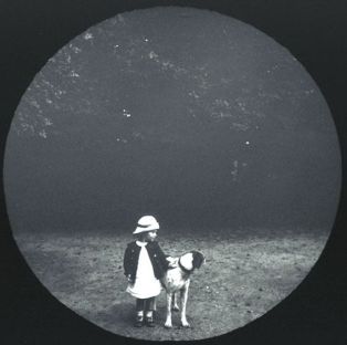 plaque de verre photographique ; Plénée-Jugon : La Touche-Sauvaget : enfant, chien