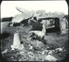 plaque de verre photographique ; Carnac : dolmen de Kermario