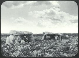 plaque de verre photographique ; Roscoff : dolmen de Caravel