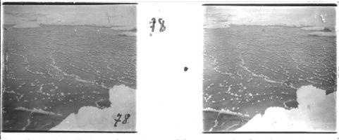 plaque de verre photographique ; Formation de cristaux de givre, sur la glace, quand la mer commence à geler