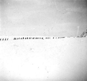 plaque de verre photographique ; L’arrivée des pingouins à l’île Wandel -(octobre 1904)