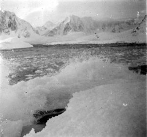 plaque de verre photographique ; Vagues déferlant sur les falaises de glace et dont les embrumes se congèlent en l’air par (-30°)