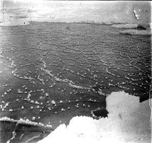plaque de verre photographique ; Formation de cristaux de givre, sur la glace, quand la mer commence à geler