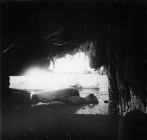 plaque de verre photographique ; Entrée d’une grotte dans les falaises de glaces - au Sud de l’île Wandel