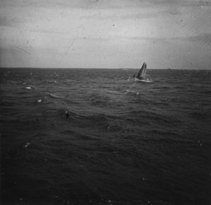 plaque de verre photographique ; Baleinière du Commandant Charles Bénard dans le Kostin Charr