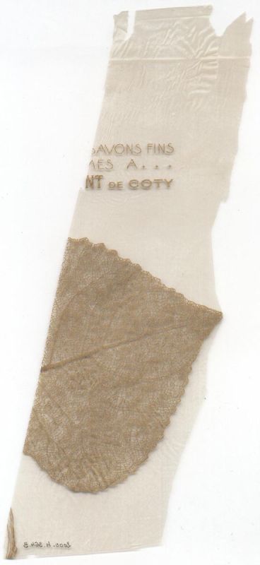 COTY - fragment d'emballage de savon