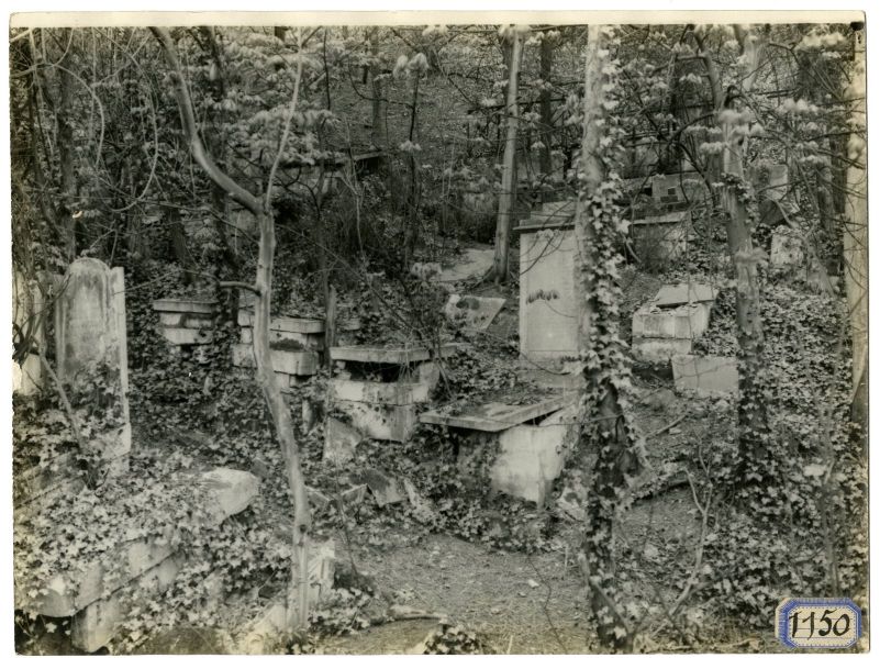 Vue du cimetière du Mont Valérien, autre rang de tombes