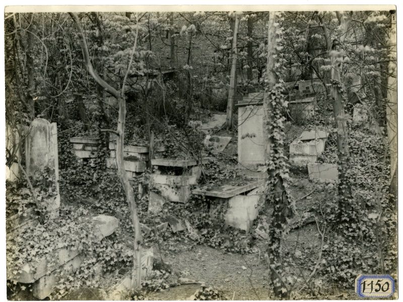 Vue du cimetière du Mont Valérien, autre rang de tombes