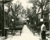 Le moulin rose, ses bosquets, Rue du Pont 1936