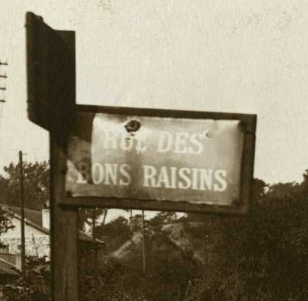 Vendanges de Suresnes en 1929, chez M. Roy, rue des Bons Raisins