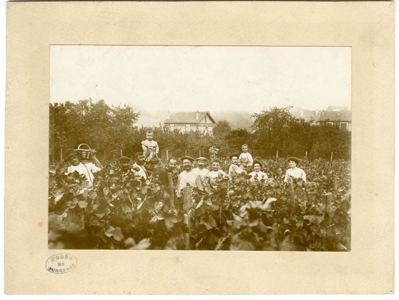 Les vendanges chez M. Paul Jean aux Trois Arpents en 1912