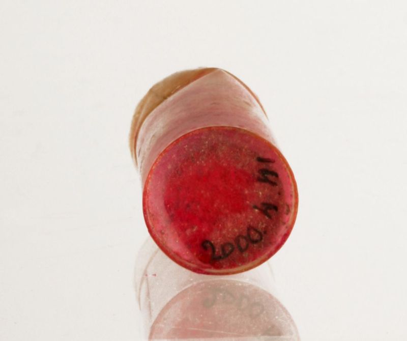 Raisin de recharge pour rouge à lèvres "Rubens" de Coty ; © Audrey BONNET