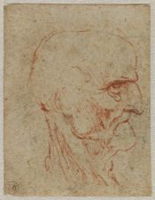 Tête de vieillard de profil à droite ; © Bayonne, musée Bonnat-Helleu / cliché A. Vaquero