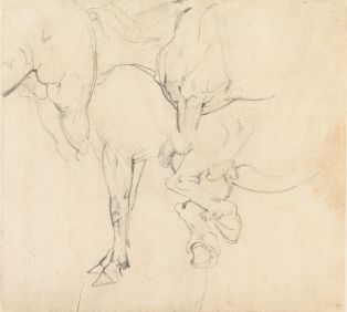 Quatre études de chevaux ; © Bayonne, musée Bonnat-Helleu / cliché A. Vaquero