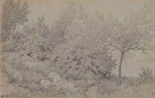 Arbres ; © Bayonne, musée Bonnat-Helleu / cliché A. Vaquero